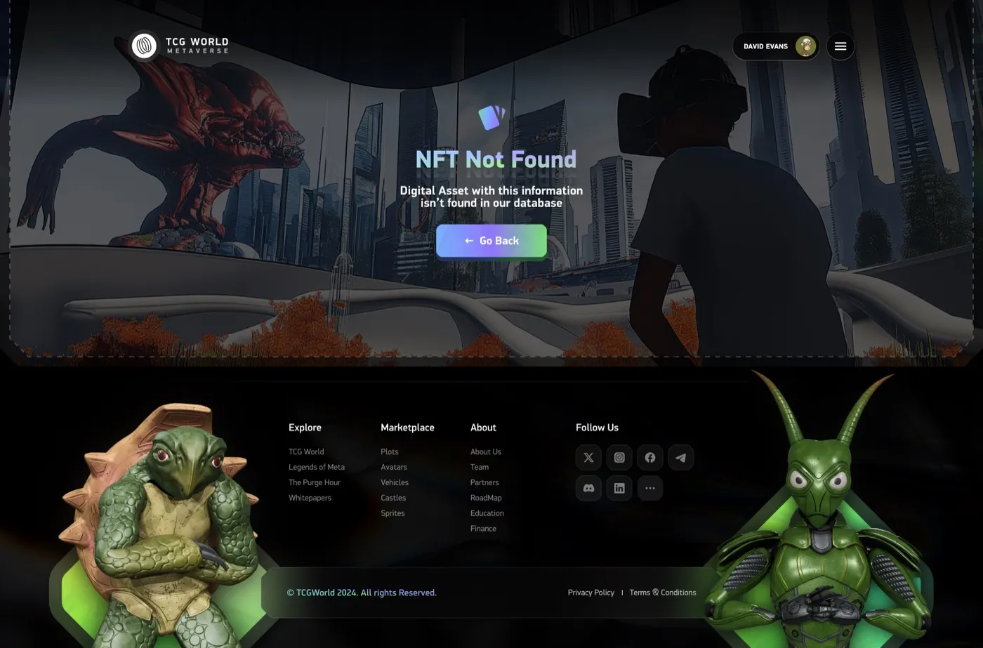 NFT not found